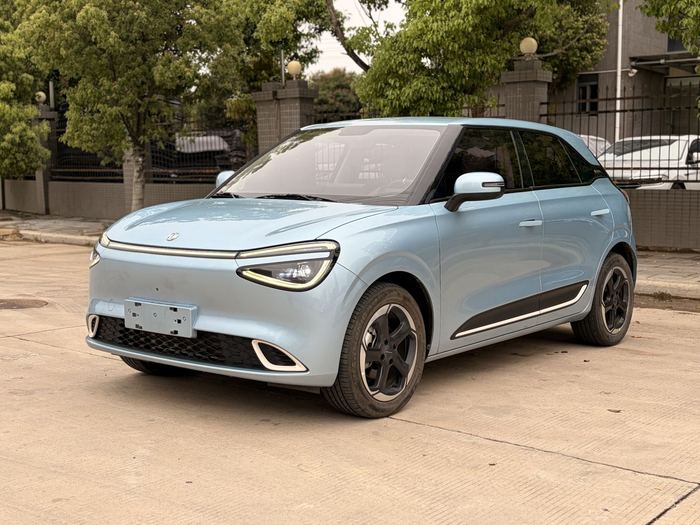 Dongfeng Nammi 01