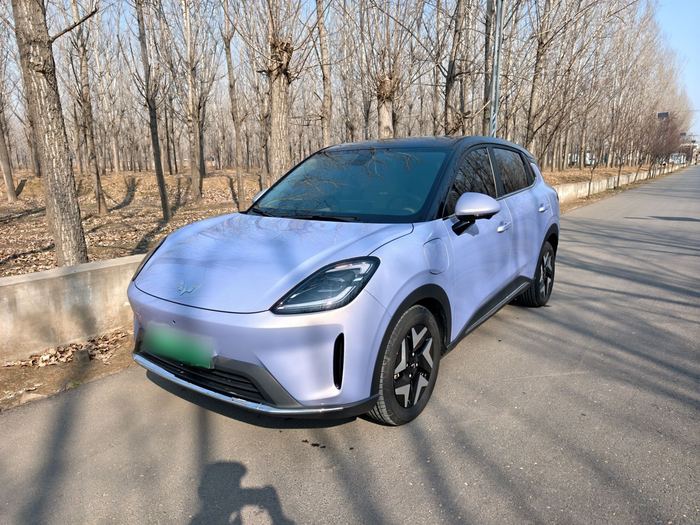 Wuling Bingo S